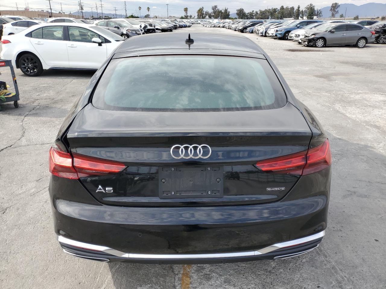 2024 Audi A5 Premium 45 VIN: WAUDACF51RA104004 Lot: 81155115