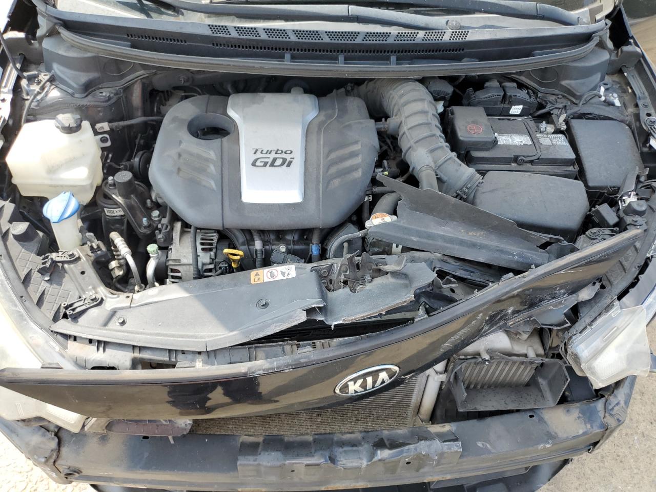 2016 Kia Forte VIN: KNAFZ6A3XG5623969 Lot: 81349775