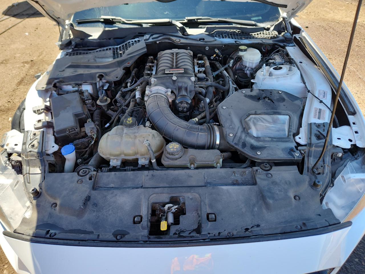 2020 Ford Mustang Gt VIN: 1FA6P8CF9L5184257 Lot: 81009965