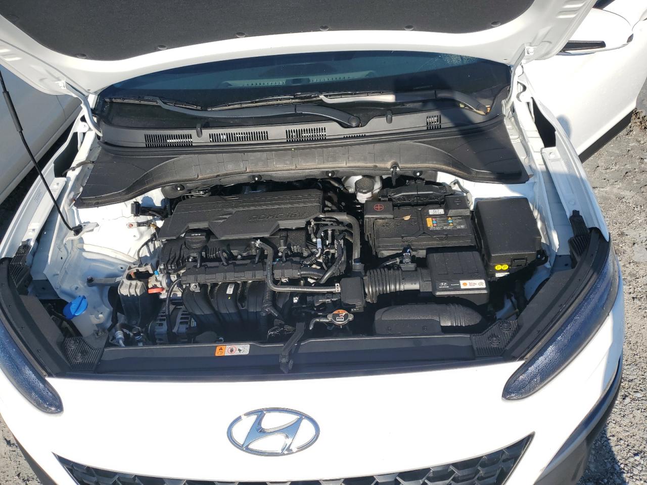 2023 Hyundai Kona Sel VIN: KM8K62AB4PU977403 Lot: 81315845