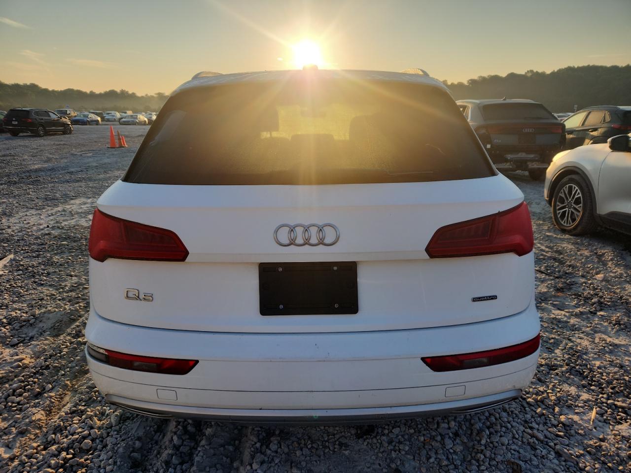 2019 Audi Q5 Premium VIN: WA1ANAFY2K2110381 Lot: 80813075