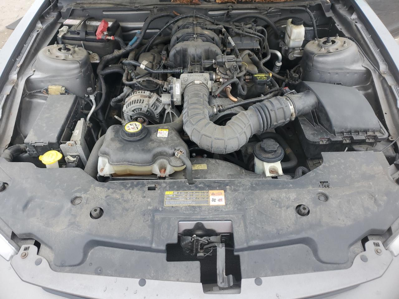 2010 Ford Mustang VIN: 1ZVBP8AN9A5112276 Lot: 81566355