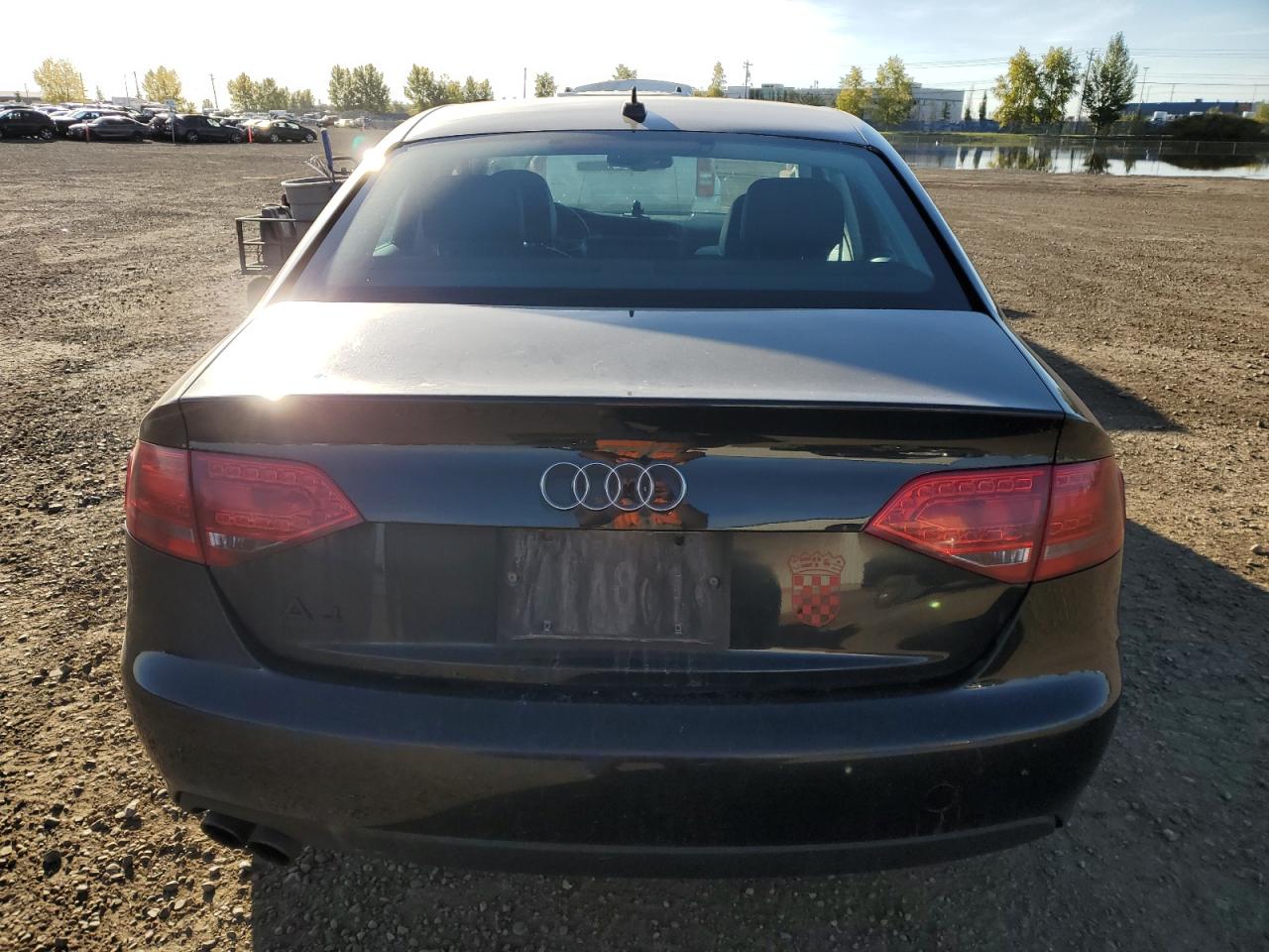 2011 Audi A4 Premium Plus VIN: WAUFFAFL8BN023951 Lot: 80845425