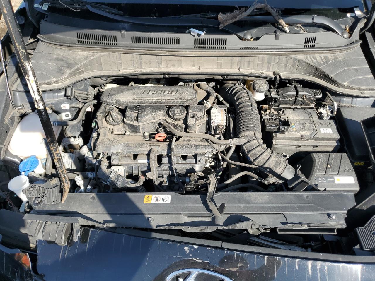 2022 Hyundai Kona Limited VIN: KM8K5CA37NU849350 Lot: 80889925