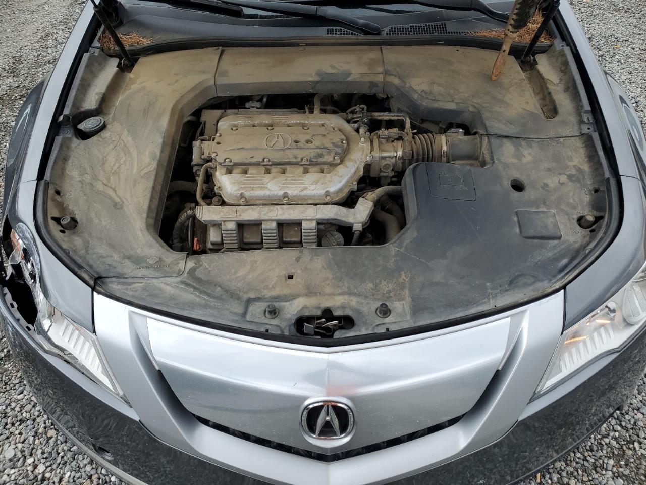 2010 Acura Tl VIN: 19UUA8F28AA011685 Lot: 81077455