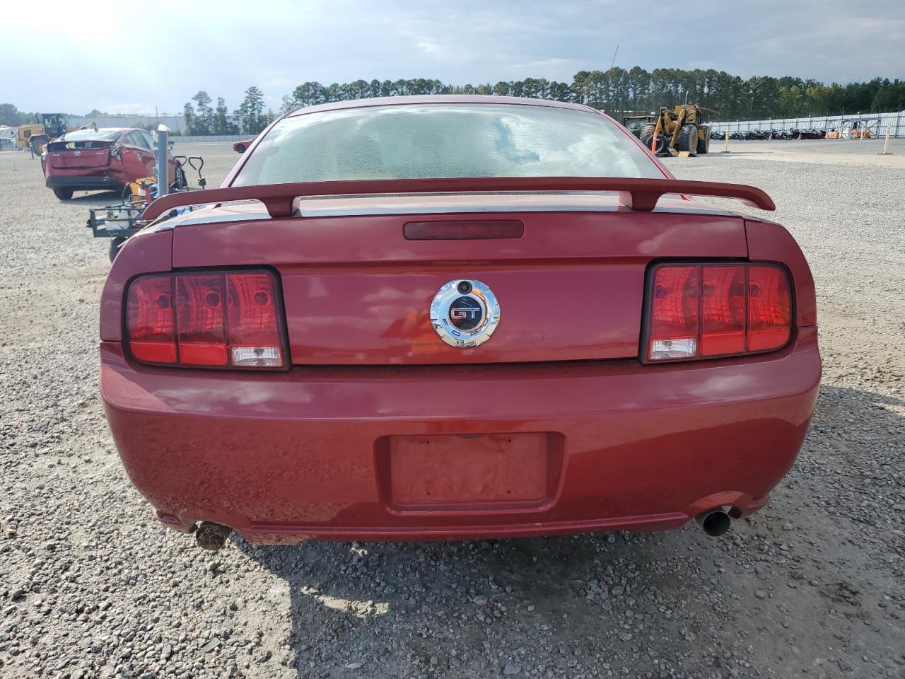 2009 Ford Mustang Gt VIN: 1ZVHT82H495102748 Lot: 81462025