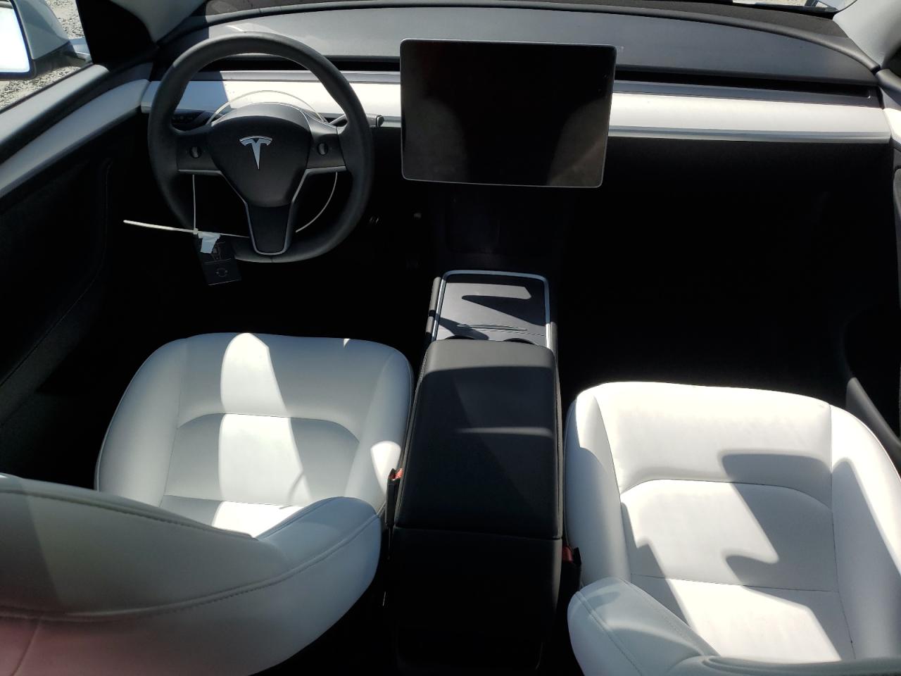 2023 Tesla Model Y VIN: 7SAYGDEE0PA173250 Lot: 80202815