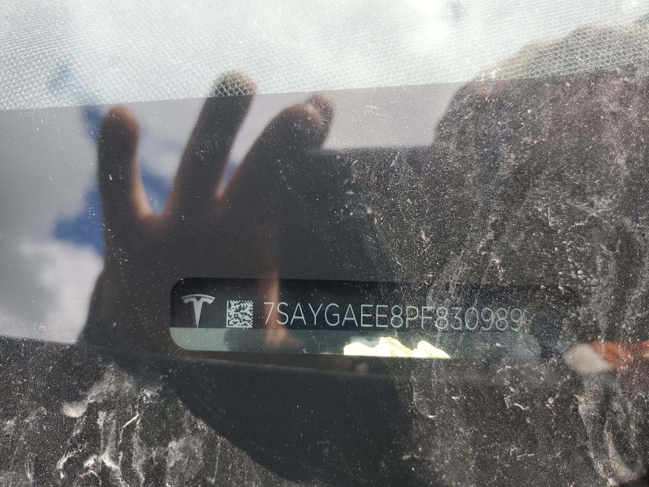 2023 Tesla Model Y VIN: 7SAYGAEE8PF830989 Lot: 69842555