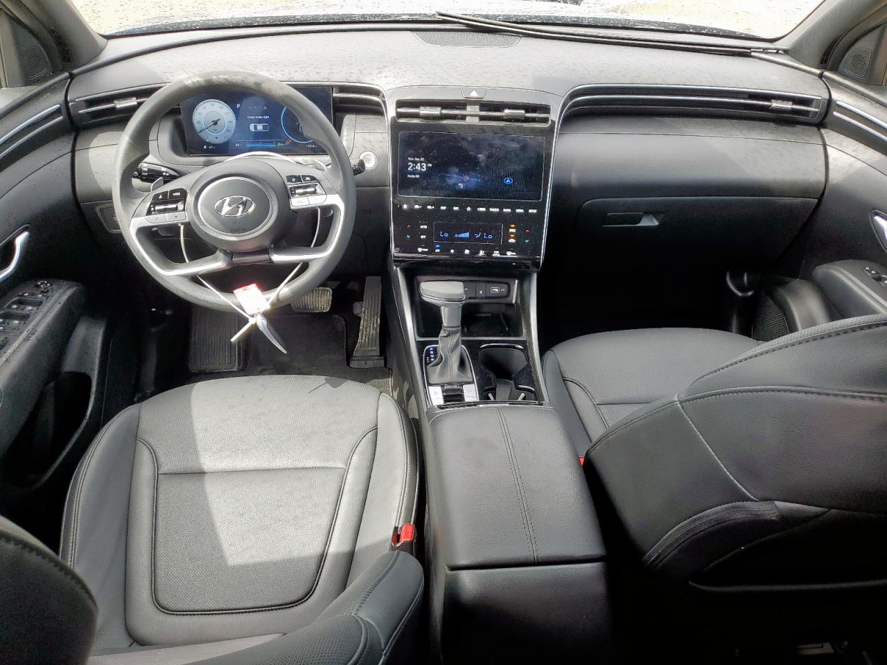 2024 Hyundai Santa Cruz Night VIN: 5NTJCDDFXRH102280 Lot: 81524065