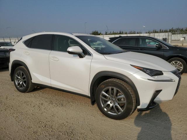 LEXUS NX 2019 Белы
