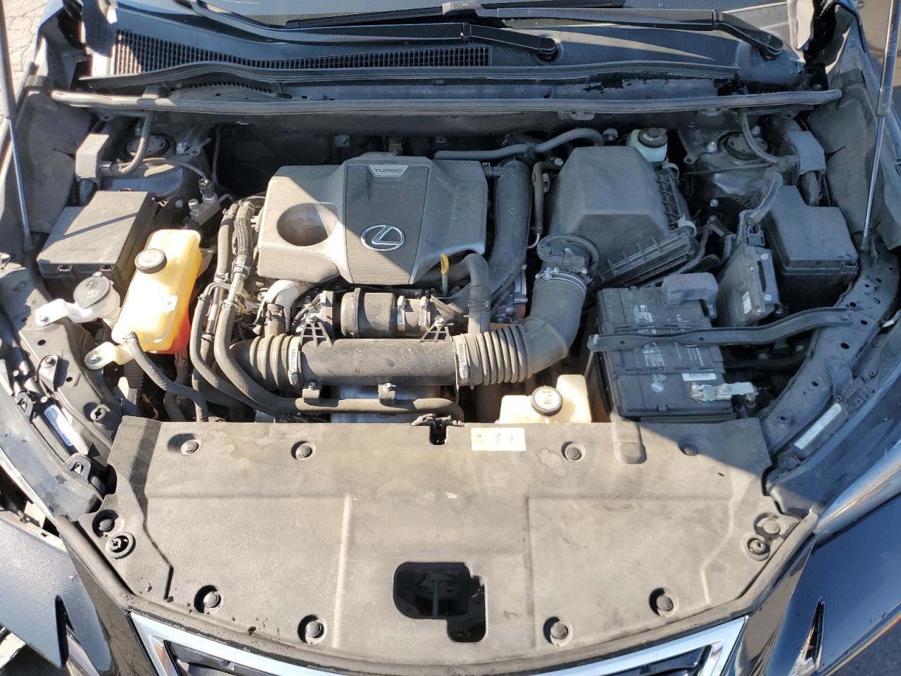 2019 Lexus Nx 300 Base VIN: JTJYARBZ7K2125789 Lot: 80750355