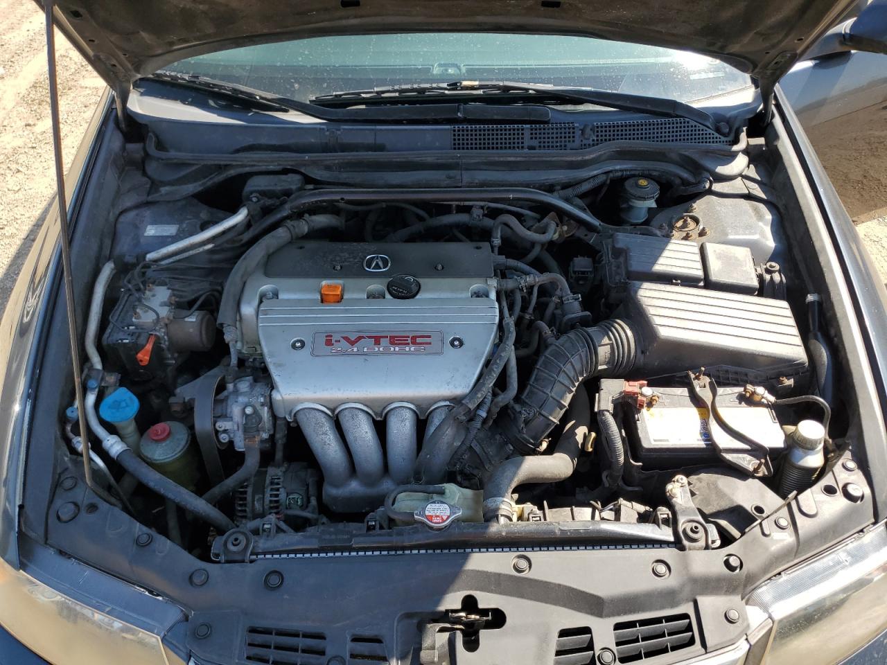 2006 Acura Tsx VIN: JH4CL96896C029900 Lot: 80716755