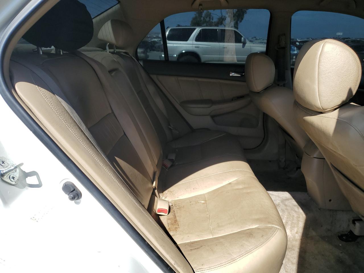 2004 Honda Accord Ex VIN: JHMCM56864C031185 Lot: 81165755