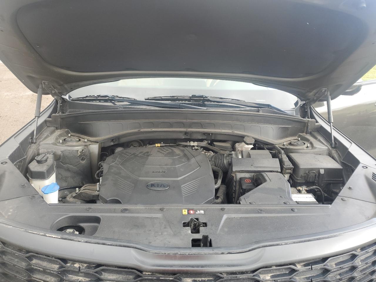 2020 Kia Telluride Sx VIN: 5XYP54HC5LG024654 Lot: 81451685