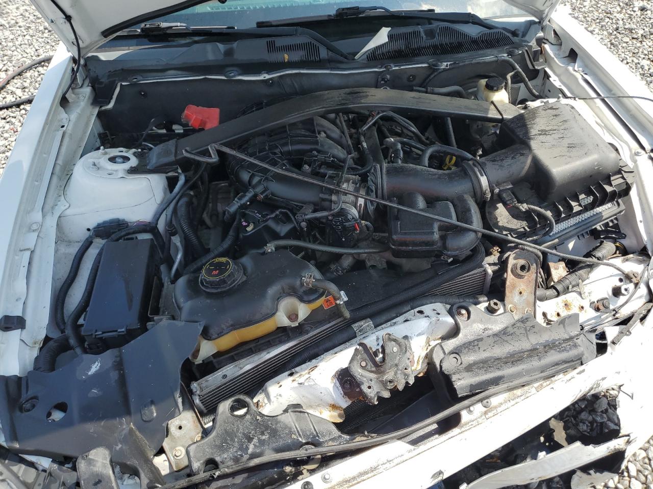 2014 Ford Mustang VIN: 1ZVBP8EM8E5273502 Lot: 71125485