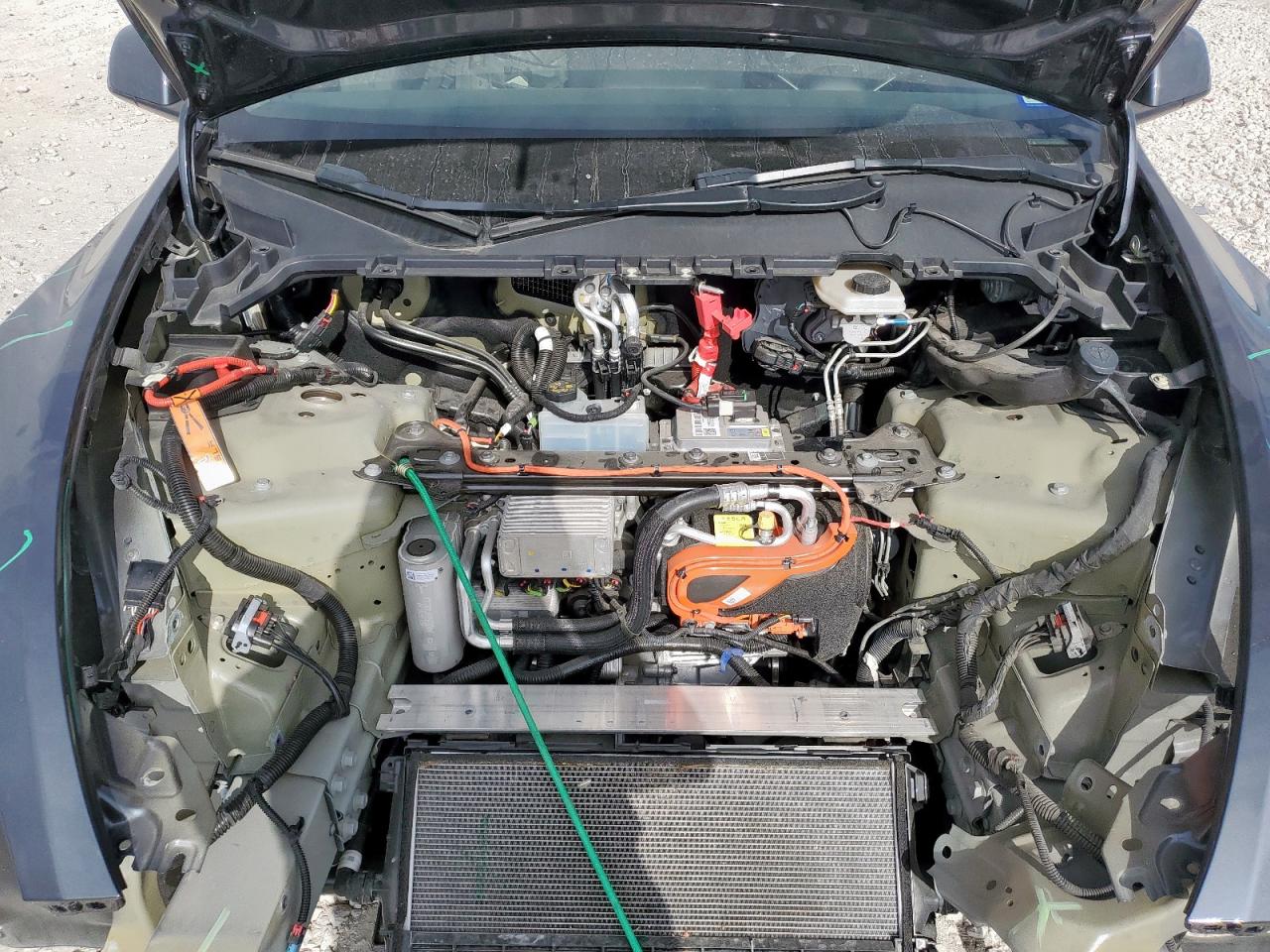 2023 Tesla Model Y VIN: 7SAYGDEF3PF896859 Lot: 81439635