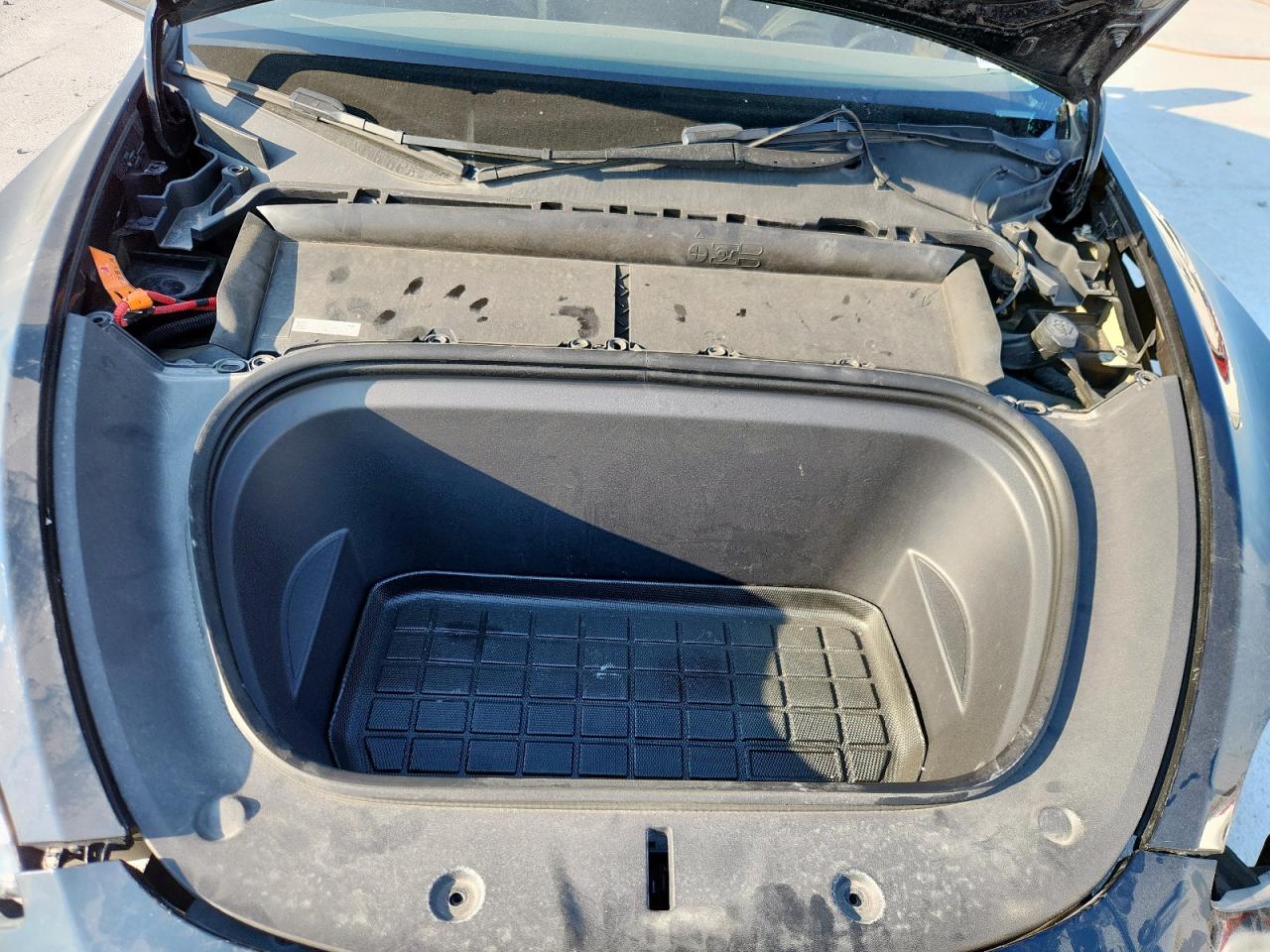 2023 Tesla Model Y VIN: 7SAYGDEE0PA107782 Lot: 80491645