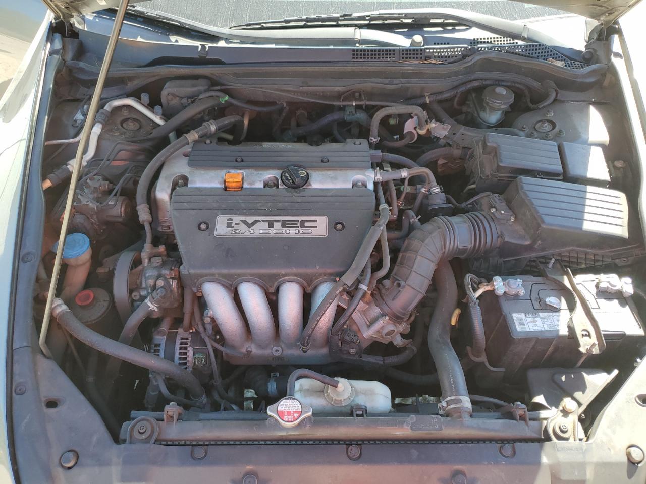 2006 Honda Accord Ex VIN: 1HGCM56806A017803 Lot: 81720615