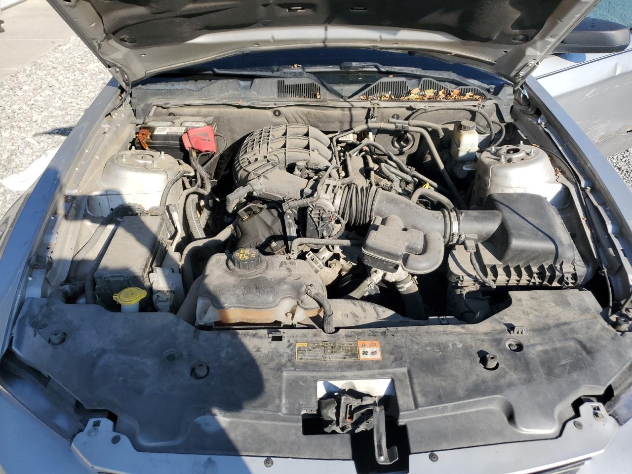 2011 Ford Mustang VIN: 1ZVBP8AM7B5166572 Lot: 81606865