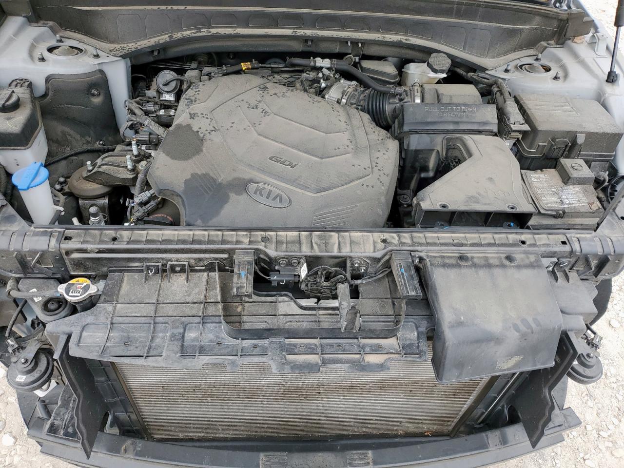 2021 Kia Telluride Ex VIN: 5XYP3DHC4MG181857 Lot: 81600725