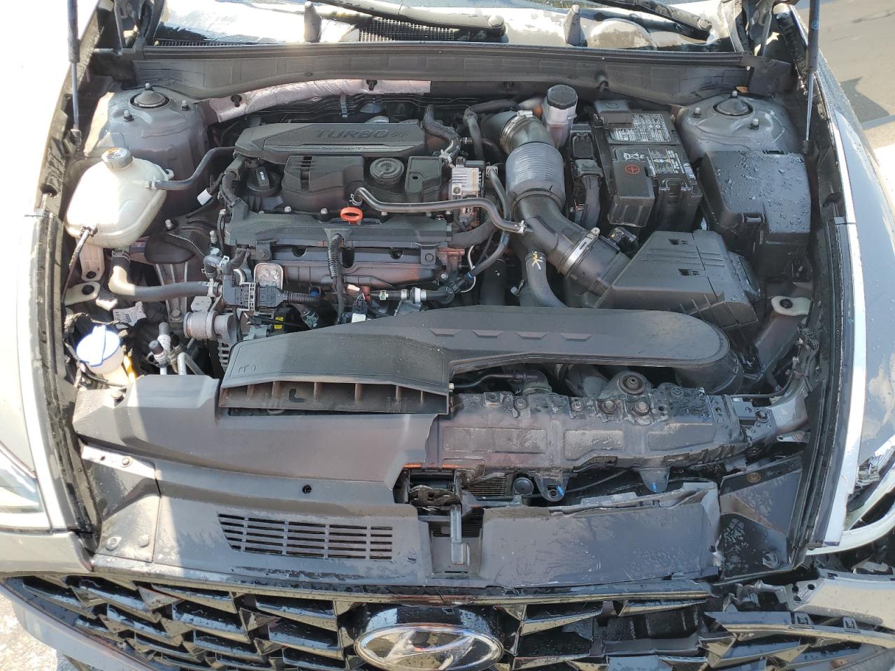 2020 Hyundai Sonata Sel Plus VIN: 5NPEJ4J24LH037067 Lot: 81125075