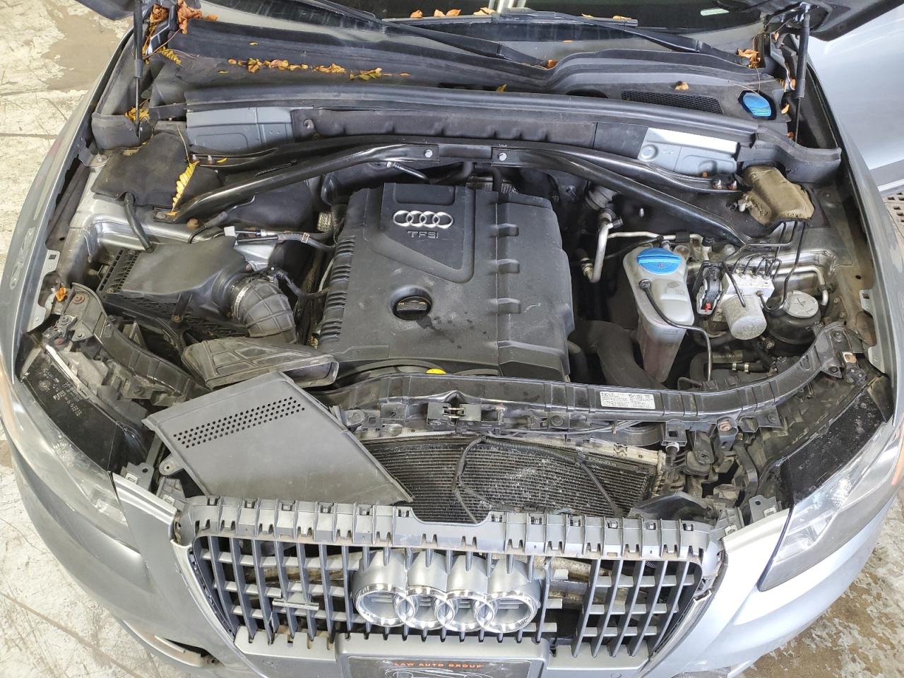 2011 Audi Q5 Premium Plus VIN: WA1LFAFP7BA065585 Lot: 81258495