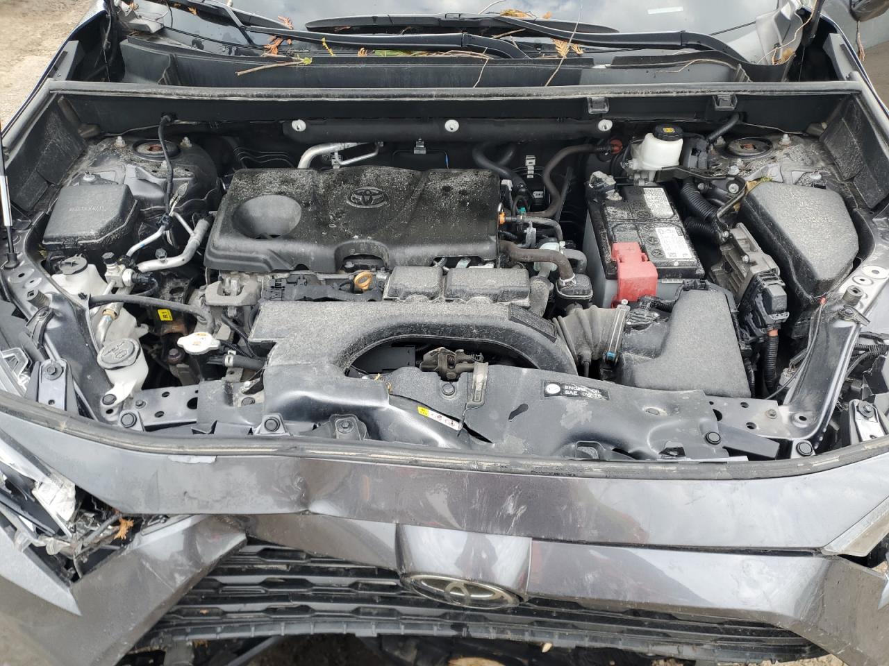 2021 Toyota Rav4 Xle VIN: 2T3R1RFV2MC195081 Lot: 71664785