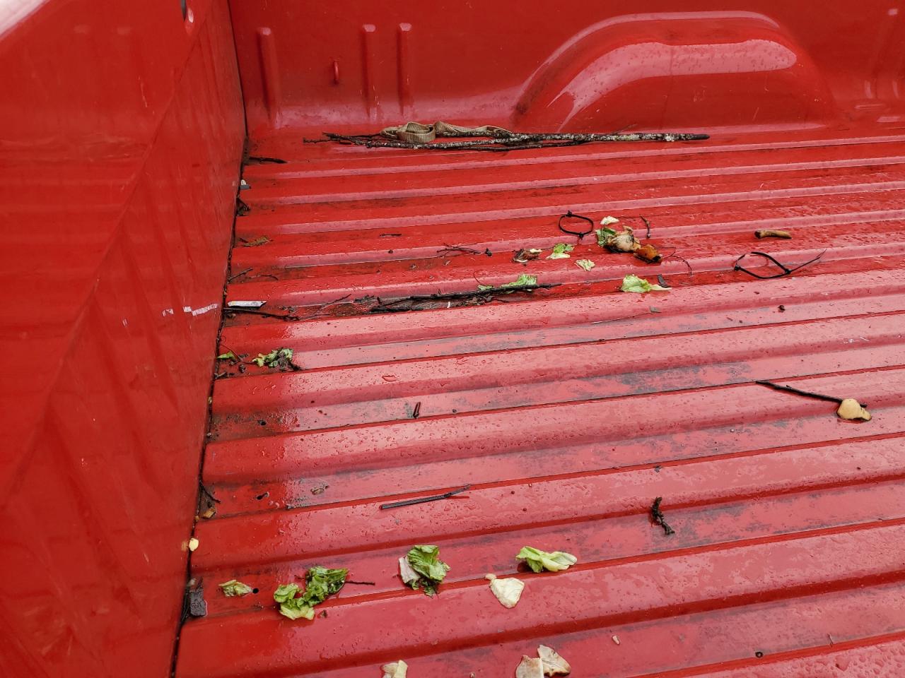 2014 Chevrolet Silverado C1500 VIN: 1GCNCPEH3EZ240098 Lot: 83803045