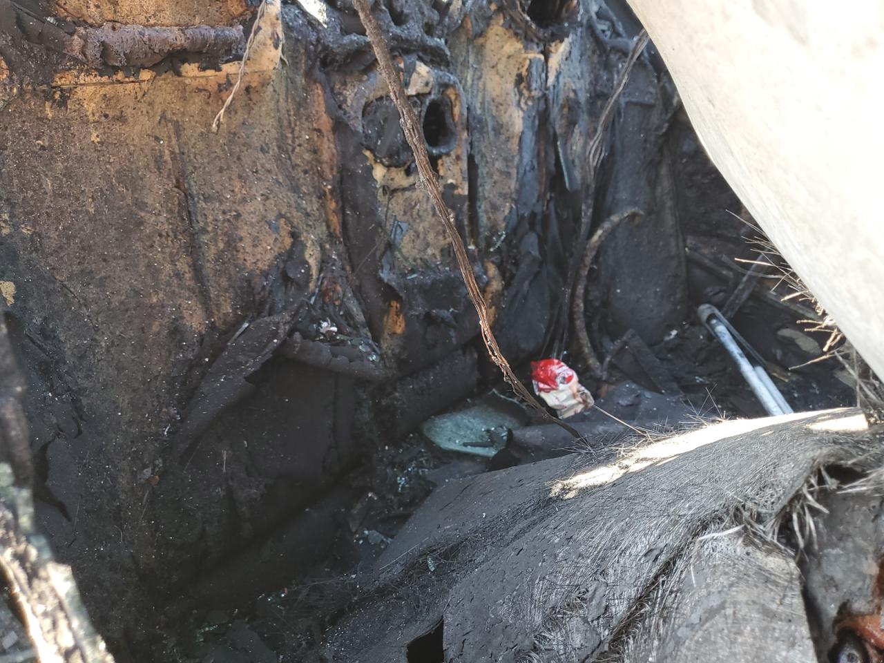 2014 BMW 428 Xi VIN: WBA3N5C54EF716646 Lot: 80958175