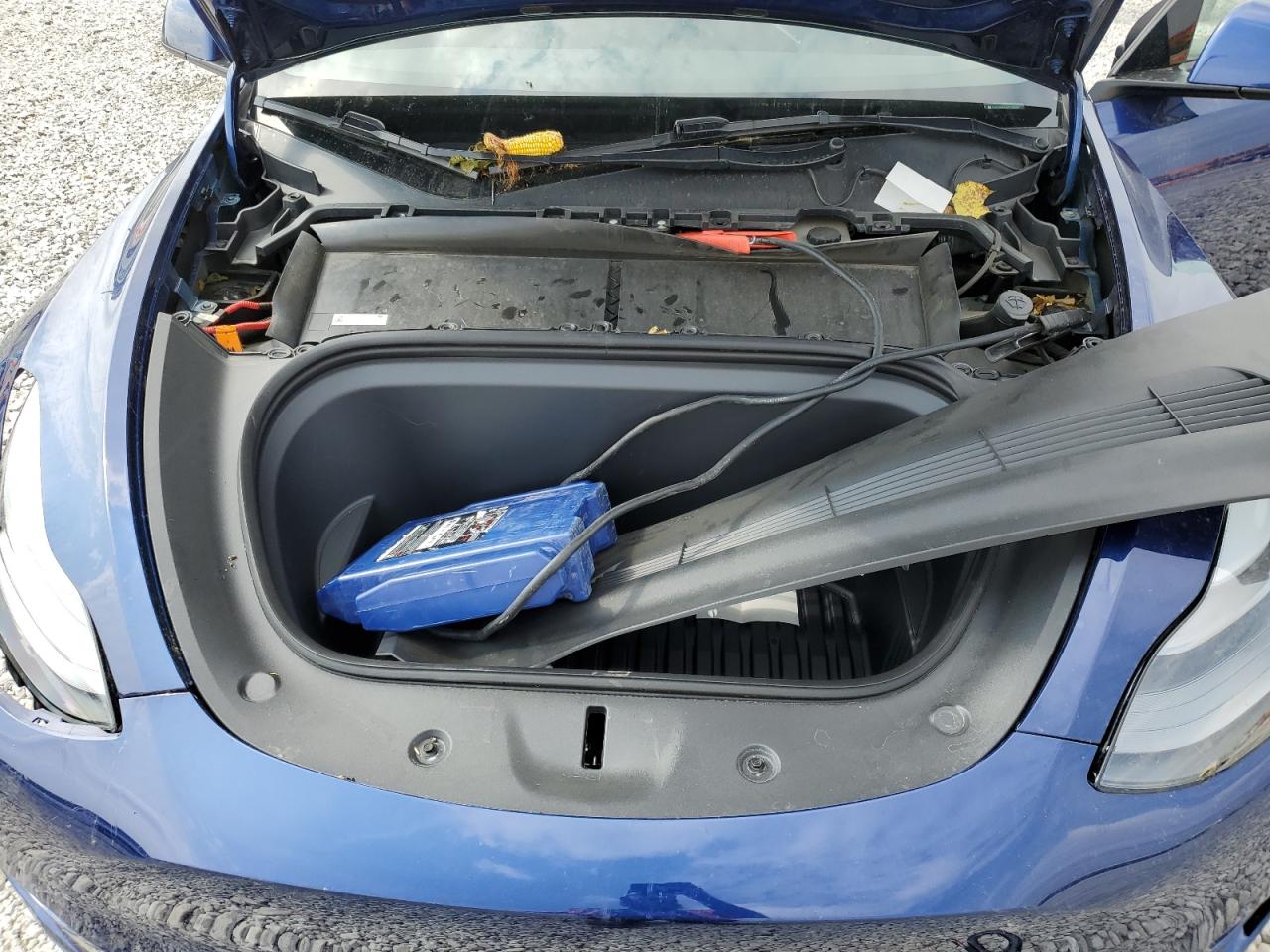 2023 Tesla Model Y VIN: 7SAYGDEE0PF768294 Lot: 81727715