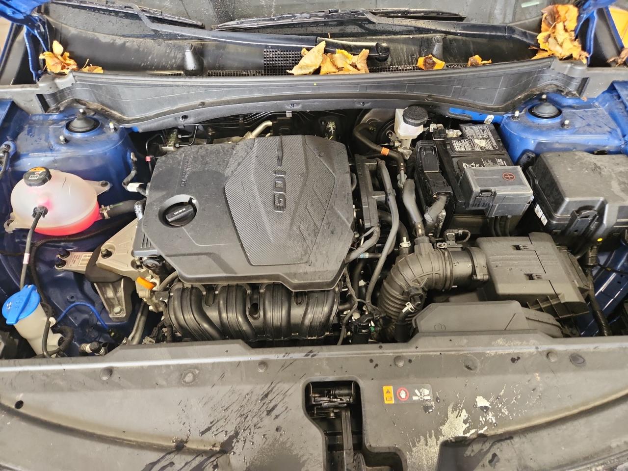 2024 Kia Sportage X Line VIN: 5XYK6CDF9RG158187 Lot: 80181375