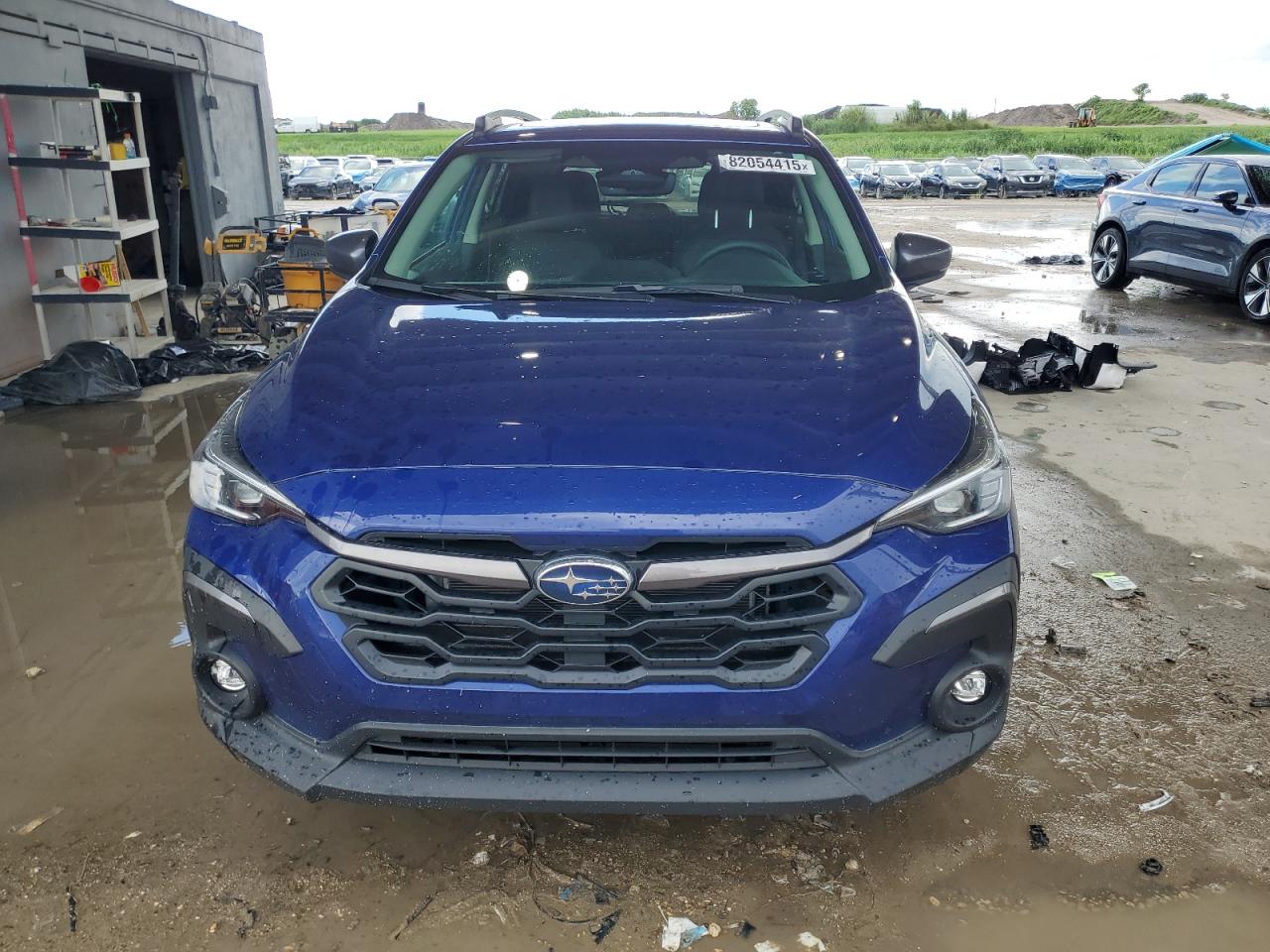 XV XV