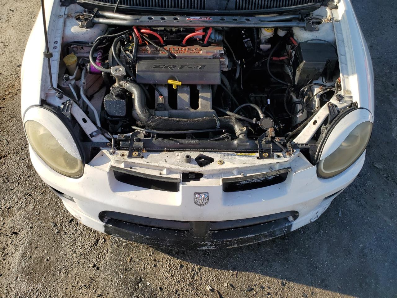 2005 Dodge Neon Srt-4 VIN: 1B3ES66S95D265710 Lot: 81177885