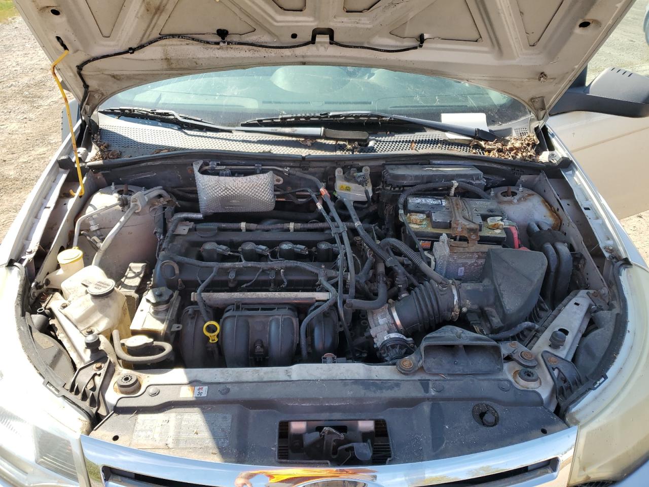 2009 Ford Focus Se VIN: 1FAHP35N29W191554 Lot: 81262315