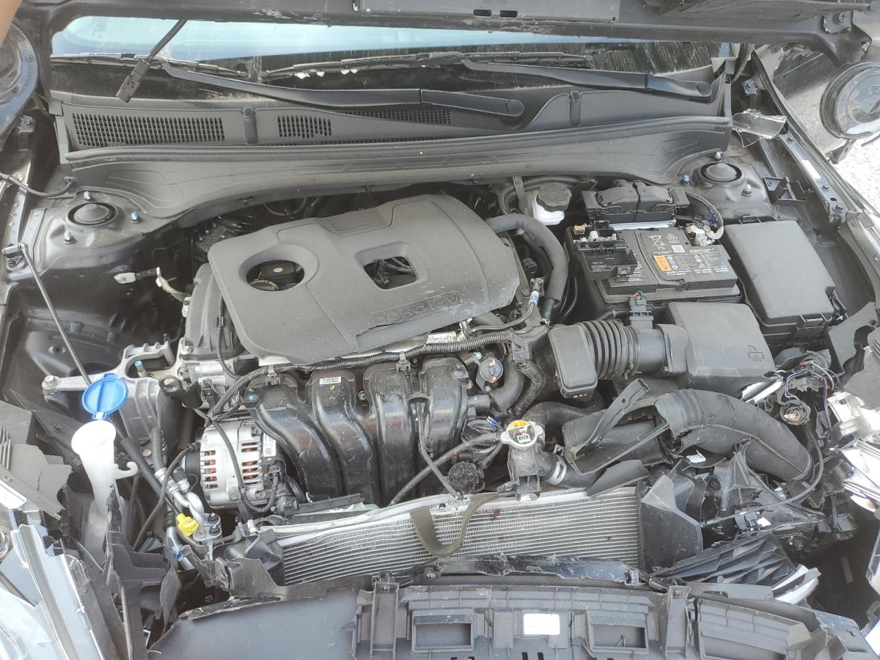 2023 Kia Forte Lx VIN: 3KPF24AD0PE689004 Lot: 81860025