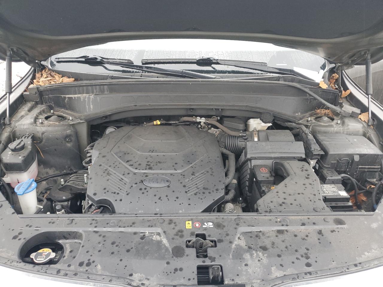 2021 Kia Telluride Ex VIN: 5XYP3DHC2MG173465 Lot: 81643995