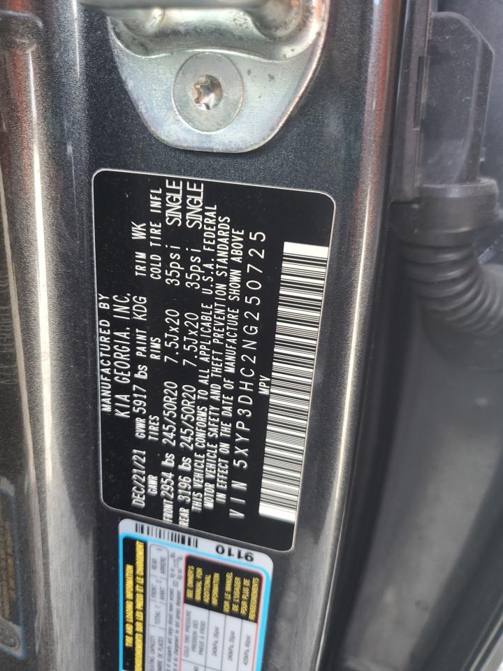 2022 Kia Telluride Ex VIN: 5XYP3DHC2NG250725 Lot: 81279465