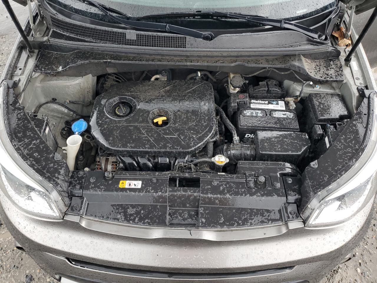 2019 Kia Soul + VIN: KNDJP3A55K7002204 Lot: 80736415