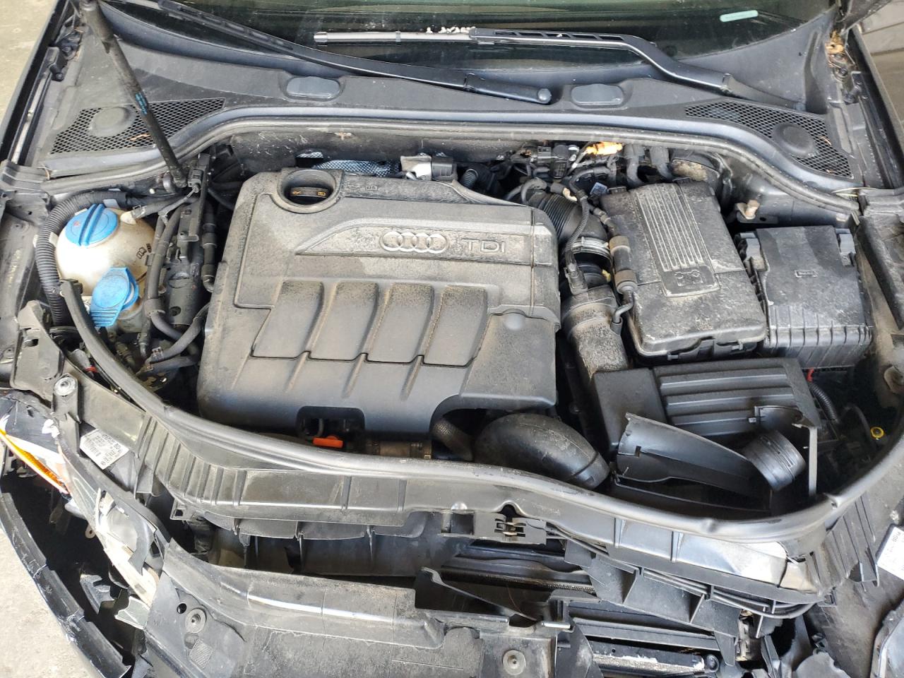 2011 Audi A3 Premium VIN: WAUBJAFM4BA021109 Lot: 70766845