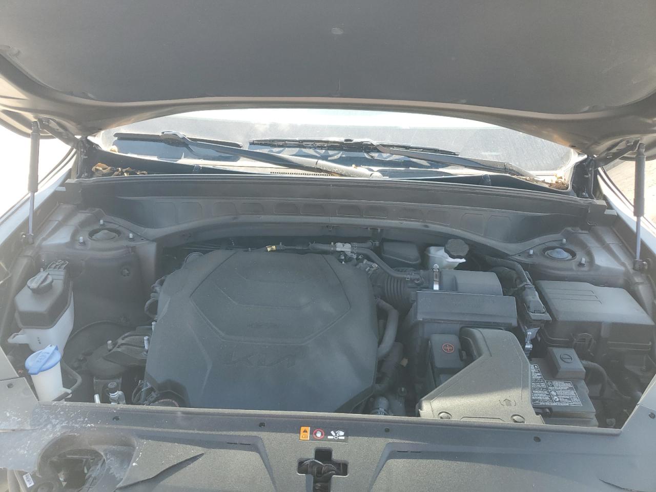 2023 Kia Telluride Ex VIN: 5XYP34GC8PG328591 Lot: 80225765