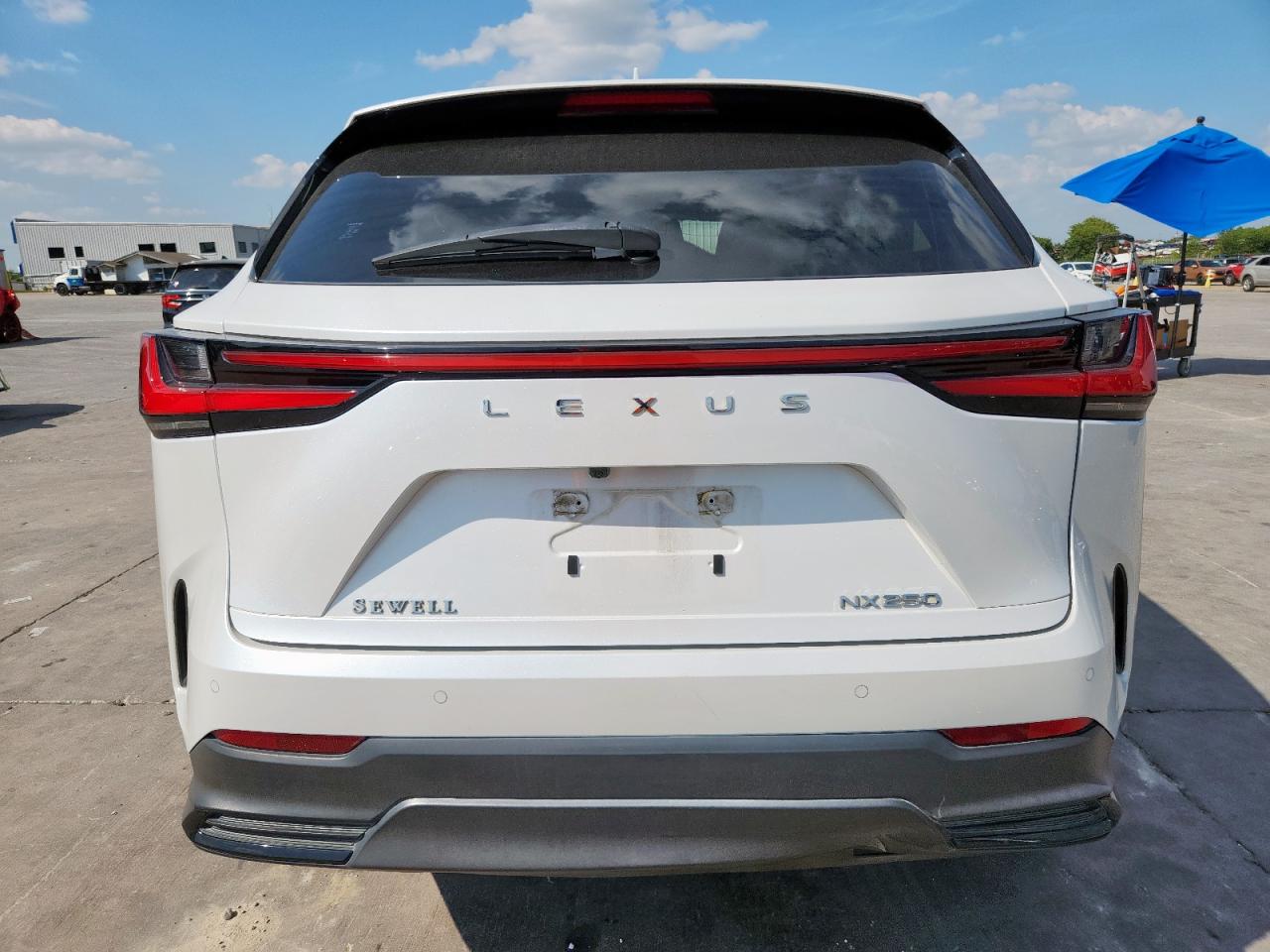 2022 Lexus Nx 250 VIN: JTJGDCAZ7N5004846 Lot: 80493405