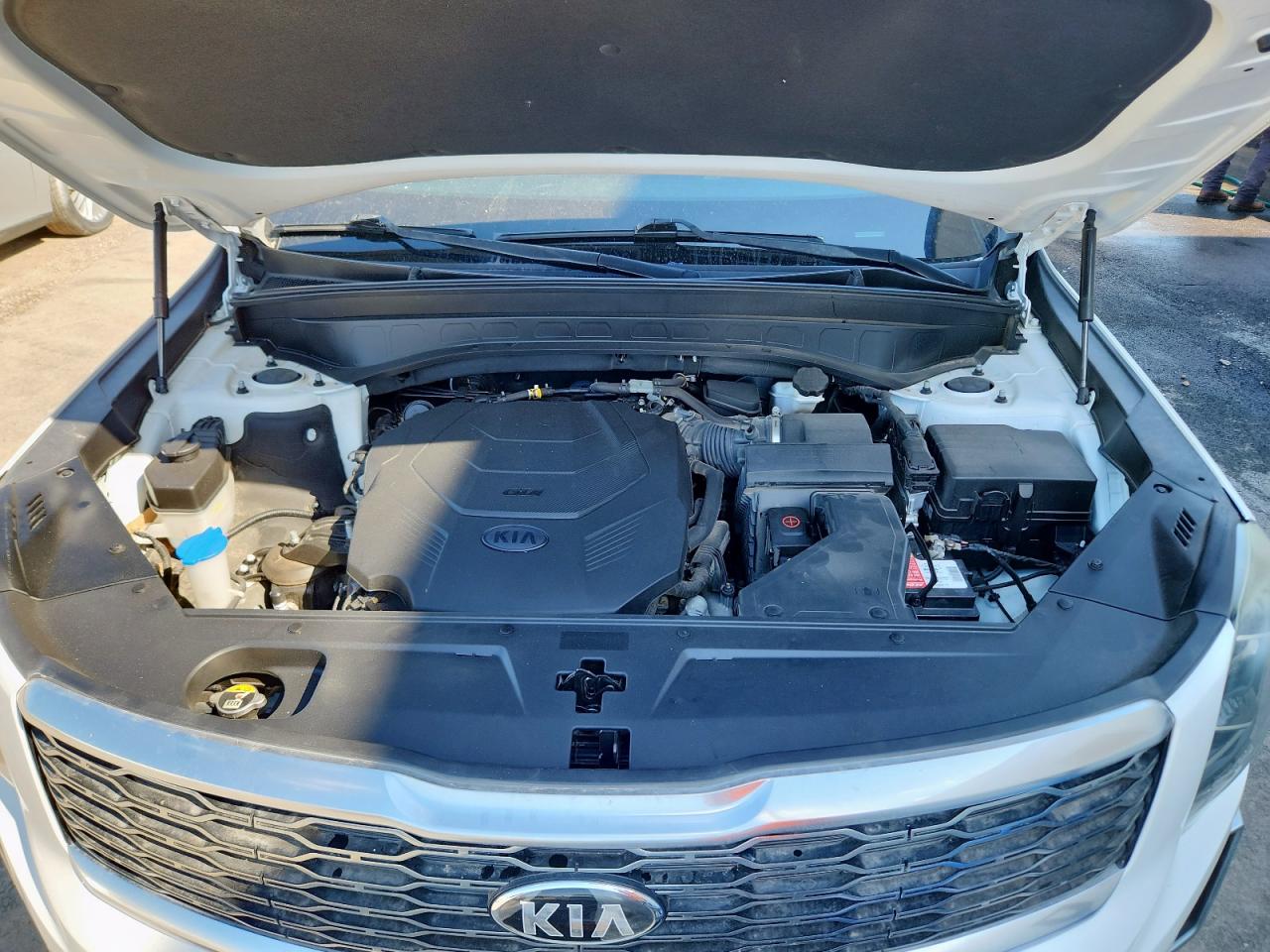 2020 Kia Telluride S VIN: 5XYP64HC0LG005880 Lot: 84578175