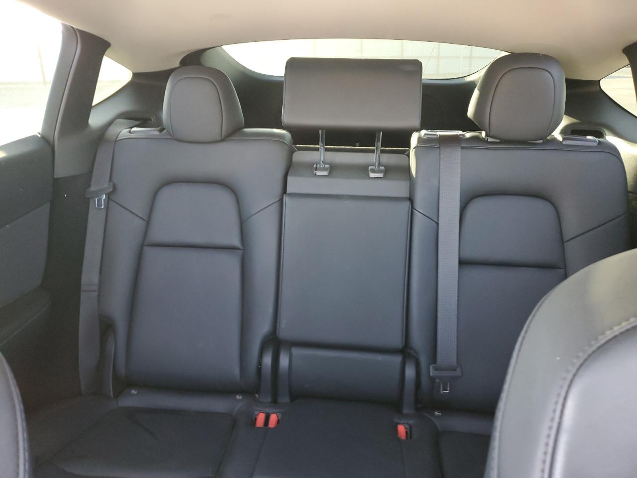 2023 Tesla Model Y VIN: 7SAYGDEE5PF862316 Lot: 81686415