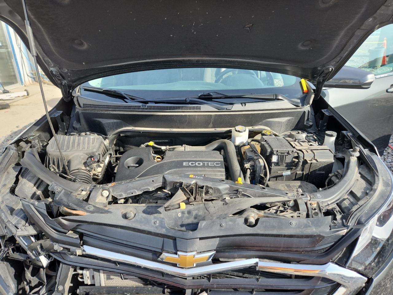 2019 Chevrolet Equinox Lt VIN: 3GNAXKEV8KS591424 Lot: 82032005