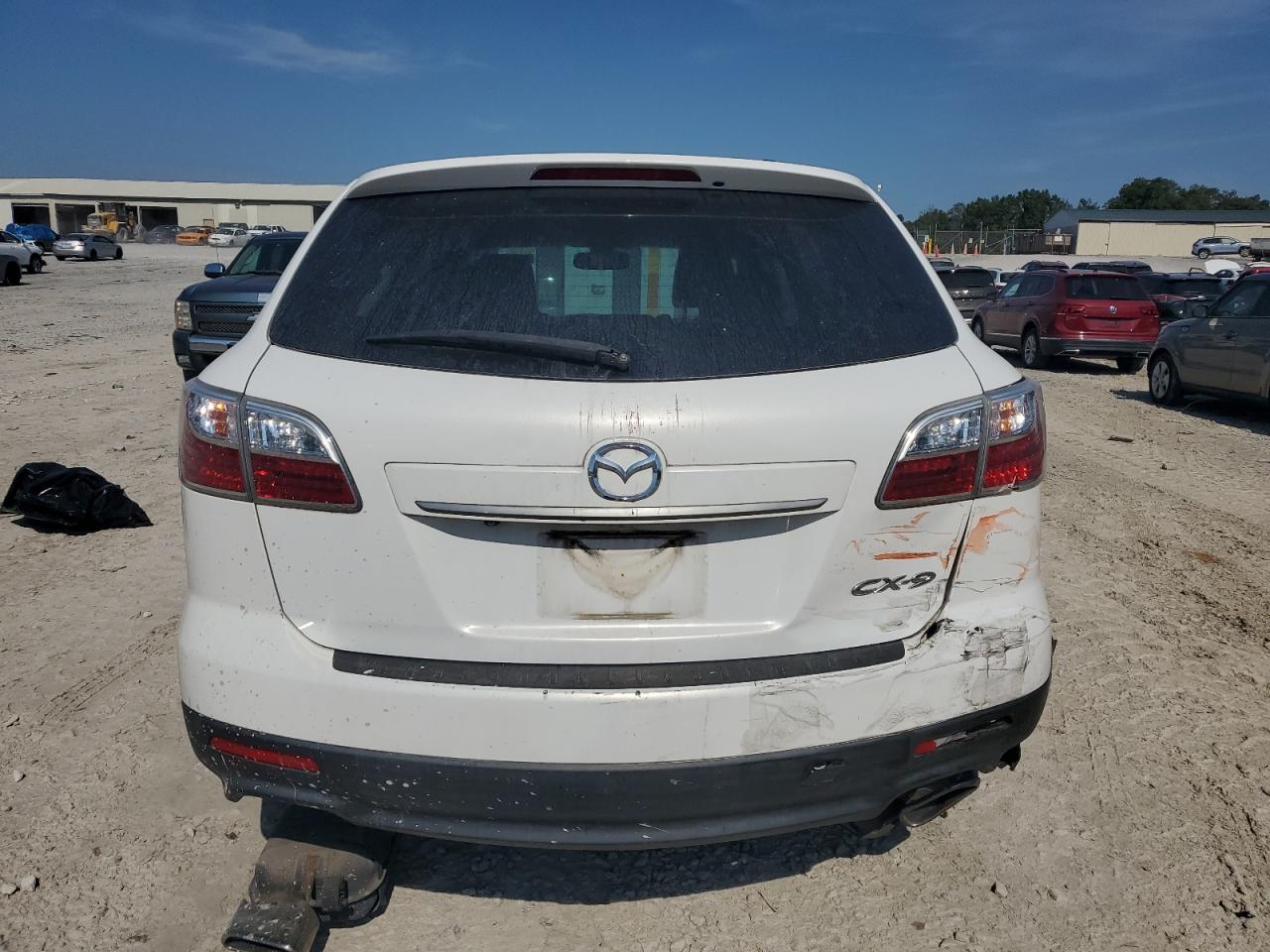 2010 Mazda Cx-9 VIN: JM3TB2MA2A0213675 Lot: 80631765