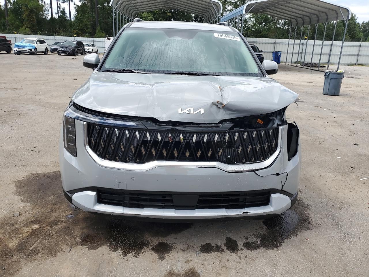 2025 Kia Carnival Ex VIN: KNDNC5KA6S6074569 Lot: 70945035