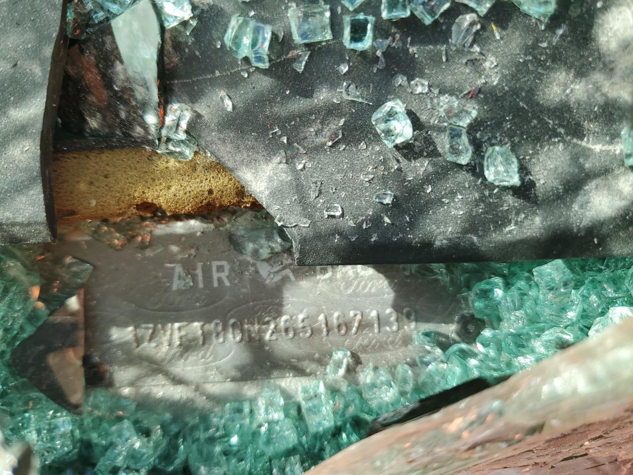 2006 Ford Mustang VIN: 1ZVFT80N265167139 Lot: 80757685