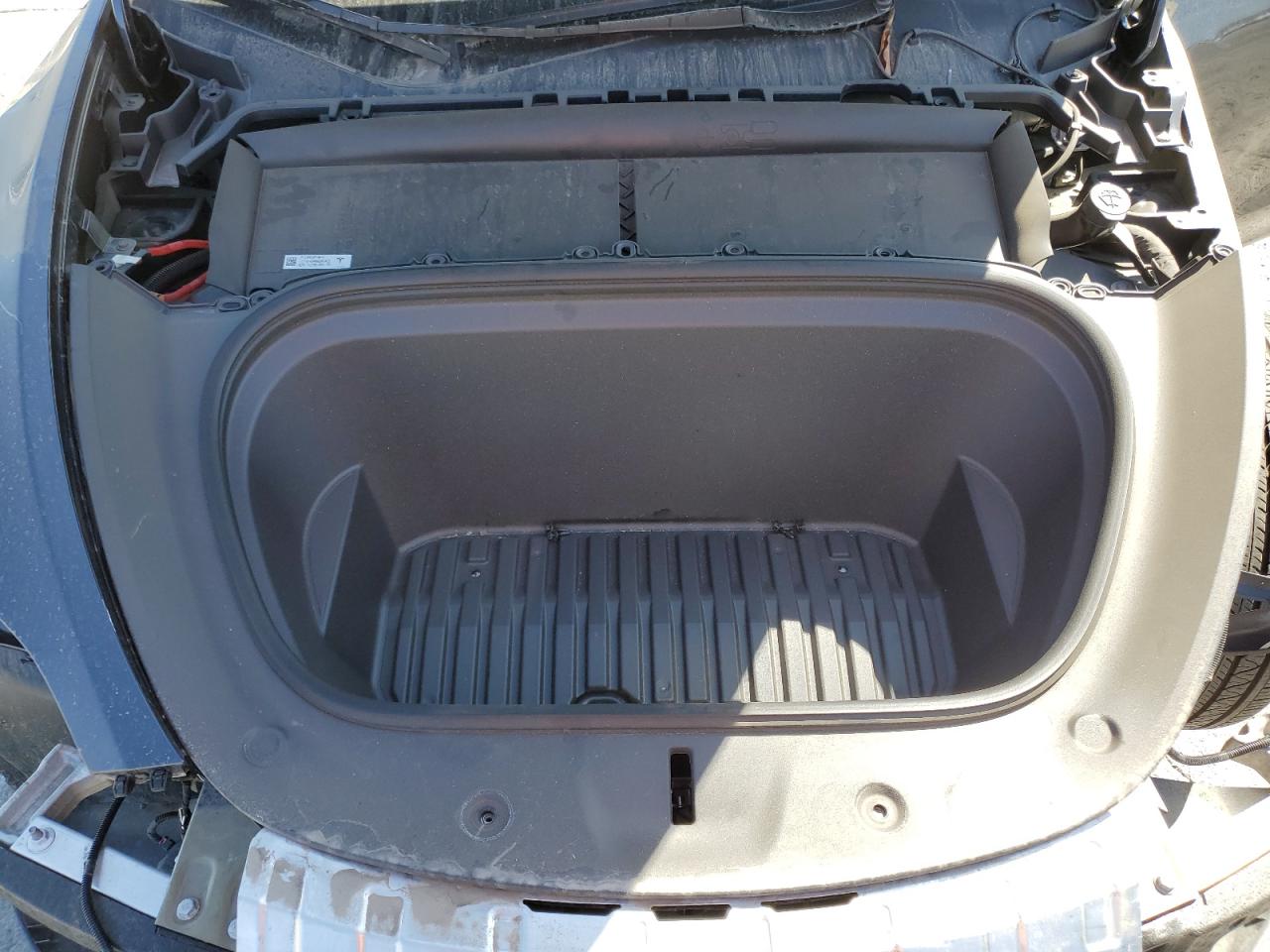 2024 Tesla Model Y VIN: 7SAYGDEE0RF065409 Lot: 81581515