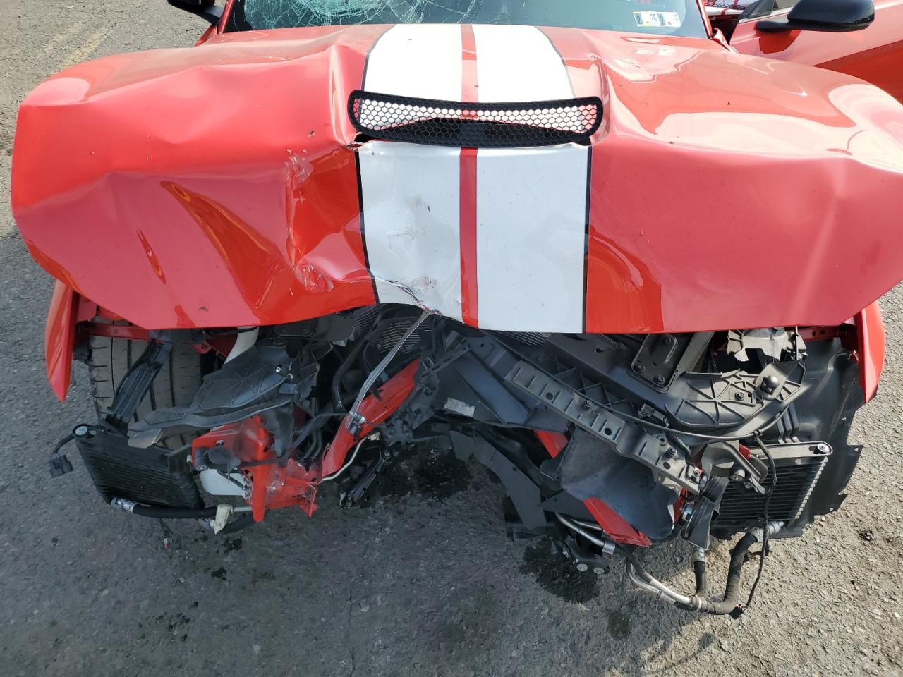 2018 Ford Mustang Shelby Gt350 VIN: 1FA6P8JZ3J5501847 Lot: 83796485