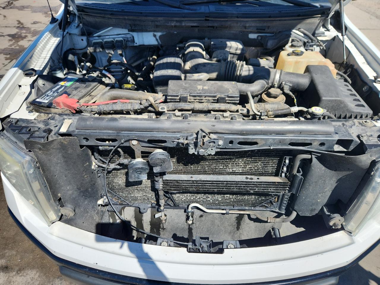 2010 Ford F150 Supercrew VIN: 1FTFW1EV8AKA97277 Lot: 71917805